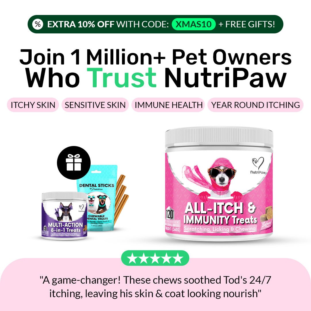 All-Itch & Immunity Treats
